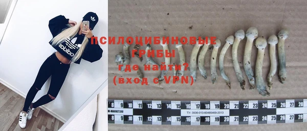 бошки Елабуга