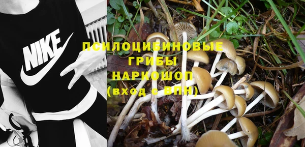 спайс Елизово