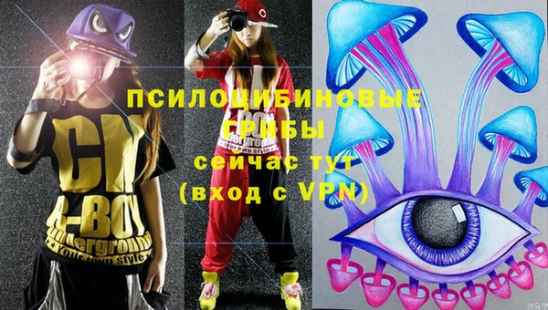 спайс Елизово