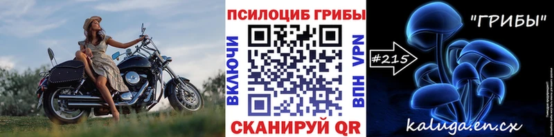 Купить закладки  Ленинск-Кузнецкий  Псилоцибиновые грибы мицелий 